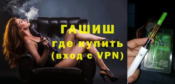 стаф Каменка