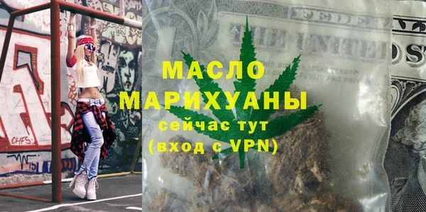 стаф Каменка