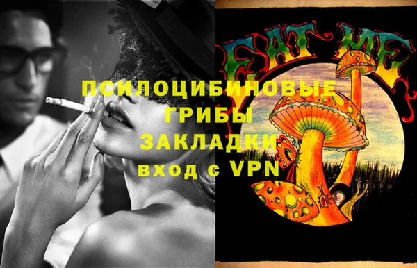 стаф Каменка