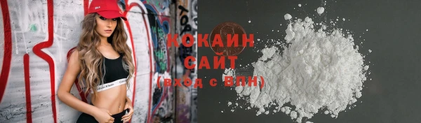 стаф Каменка