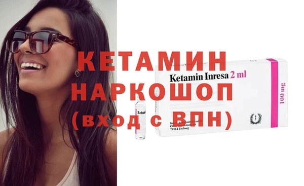 стаф Каменка