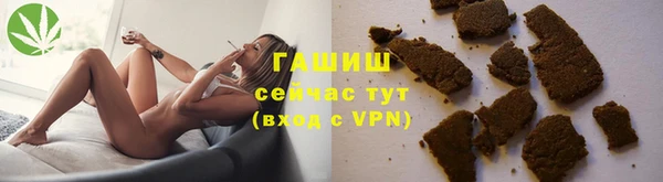 стаф Каменка