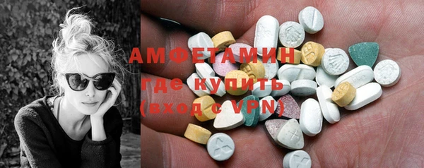 стаф Каменка