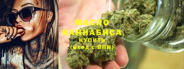 стаф Каменка