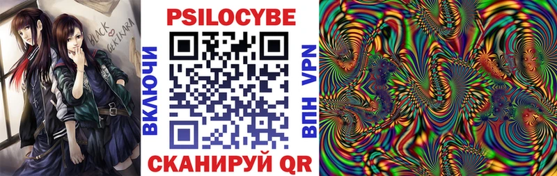 Псилоцибиновые грибы Psilocybe  Зеленоградск 